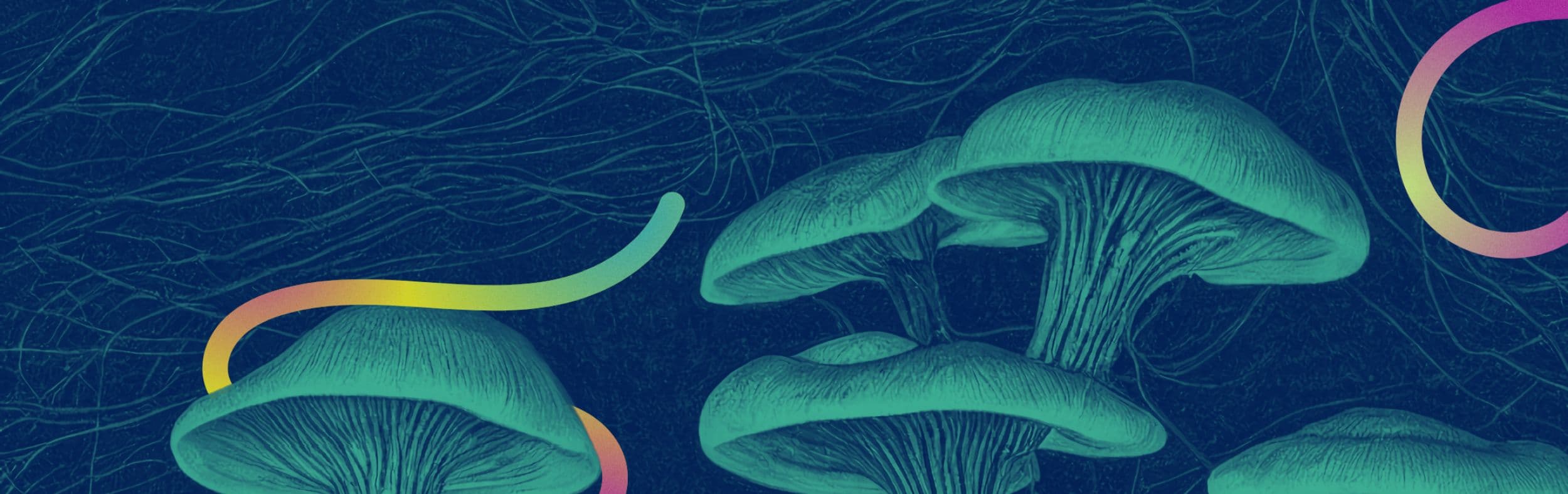 Image Psychedelic U