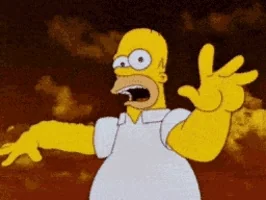 Homer on trip